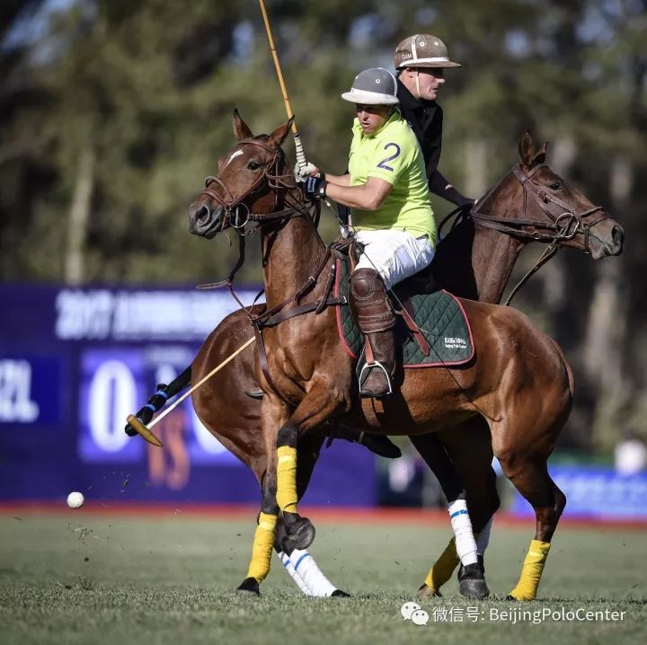 新西兰运动员在马术项目中取得突破